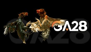 Sabung Ayam - Adu ayam online