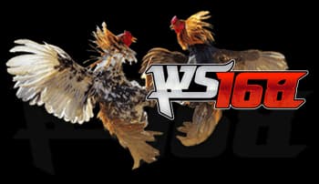 WS168