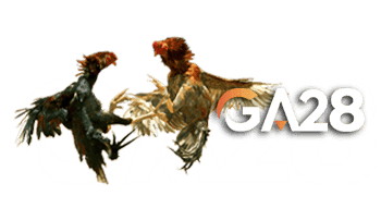 GA28